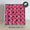 Neutral Pink