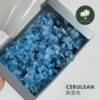 Cerulean 蔚蓝色