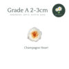 Champagne Heart