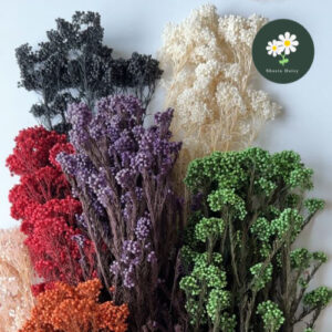 Grade A 70g Preserved Rice Flowers Bunga Millet Dried Flowers Dry Flower 永生花 小米花