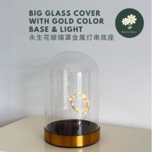 永生花玻璃罩发光金边底座 Preserved Flower Big Glass Dome Glass Cover with Gold Color Base (With Light)