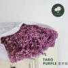 Taro Purple