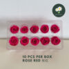 Rose Red 玫红