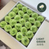 Light Green 浅绿色