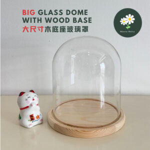 永生花大尺寸玻璃罩无发光木底座 Preserved Flower Big Size Glass Dome Glass Cover with Wood Base (Without Light)