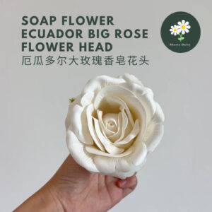 Soap Flower Ecuador Big Rose Flower Head DIY Material 厄瓜多尔大玫瑰香皂花头肥皂花花束DIY材料