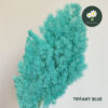 Tiffany Blue