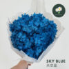 Sky Blue