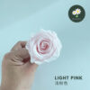 Light Pink 浅粉色