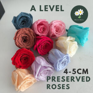 Grade A Preserved Flower Rose 4-5cm 1 PCS A级永生花玫瑰