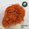 Orange 橙色