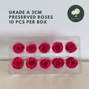GRADE A Preserved Flower Rose 3cm 10 PCS Per BOX A级永生花玫瑰