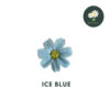 Ice Blue