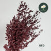 Red ~100g
