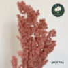 Milk Tea