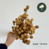 Gold 70 pcs