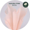 Sakura Pink 樱花粉