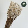 White 30g