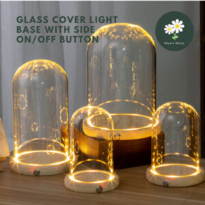 永生花玻璃罩发光底座侧边开关新款 New Preserved Flower Glass Dome Glass Cover Light Base With Side On Off Button