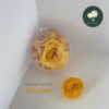 Summer: Yellow