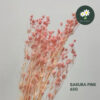 Sakura Pink-65g