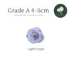 Light Purple