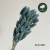 Blue Grey