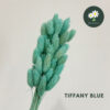 Tiffany Blue