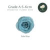 Pale Blue