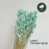 Light Tiffany Blue