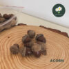 Acorn