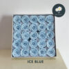 Ice Blue