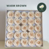 Warm Brown