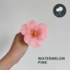 Watermelon Pink