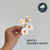 White+Orange Heart