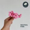 Neutral Pink