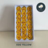 Egg Yellow