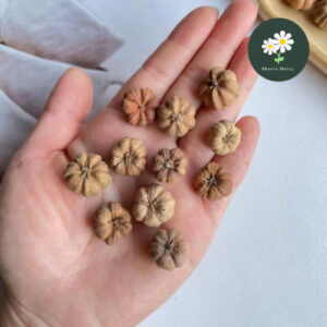 10pcs 永生花干花果实类 小桔子 小南瓜 DIY制作材料 Dried Preserved Small Pumpkins DIY Materials