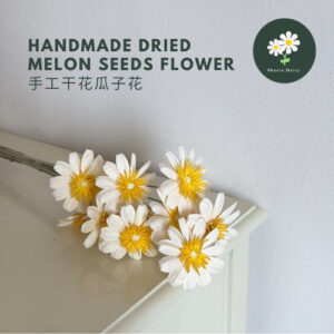 Handmade Dried Flowers Melon Seeds Home Decoration Ornaments Ins Style Photo Ornaments Bouquets Fruit shell 手工干花瓜子花