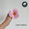Light Purple