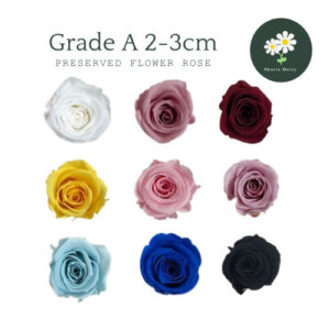 GRADE A Preserved Flower Rose 2-3cm Per PCS A级永生花玫瑰