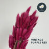 Vintage Purple Red