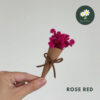 Rose Red