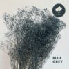 Blue Grey