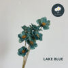 Lake Blue