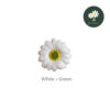 White+Green