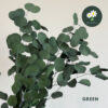 Green 绿色