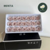 Menta