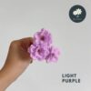Light Purple