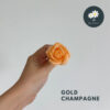 Gold Champagne